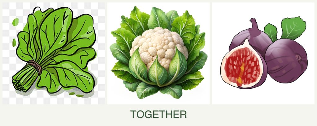 Can you plant spinach, cauliflower and figs together?
