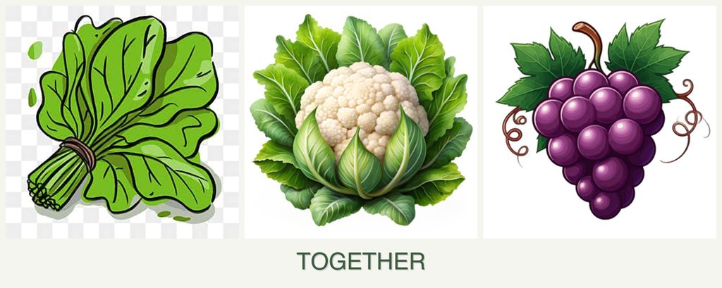 Can you plant spinach, cauliflower and grapes together?