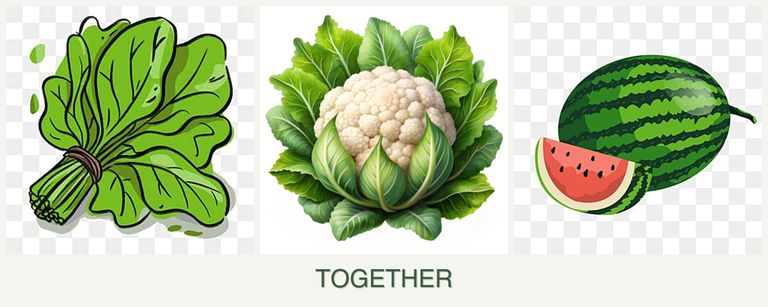 Can you plant spinach, cauliflower and melons together?
