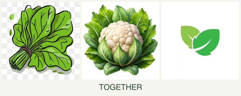 Can you plant spinach, cauliflower and mint together?