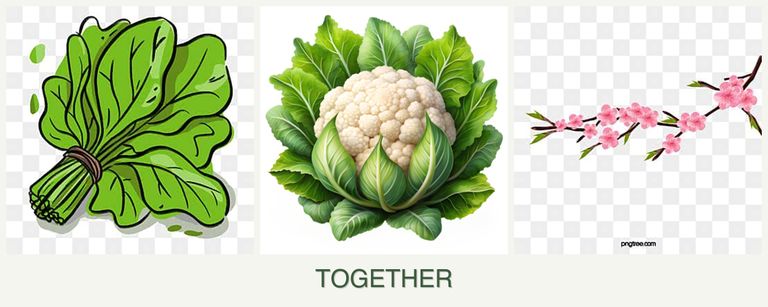 Can you plant spinach, cauliflower and peaches together?
