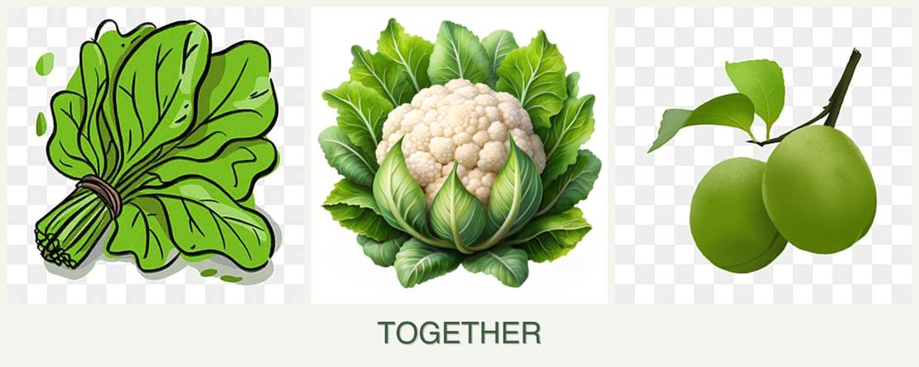 Can you plant spinach, cauliflower and plums together?