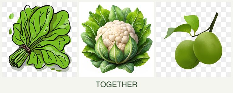 Can you plant spinach, cauliflower and plums together?
