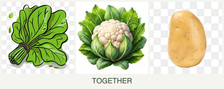 Can you plant spinach, cauliflower and potatoes together?