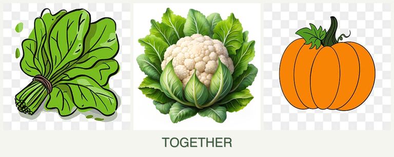 Can you plant spinach, cauliflower and pumpkin together?