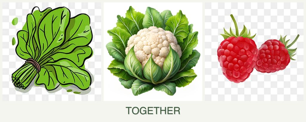 Can you plant spinach, cauliflower and raspberries together?