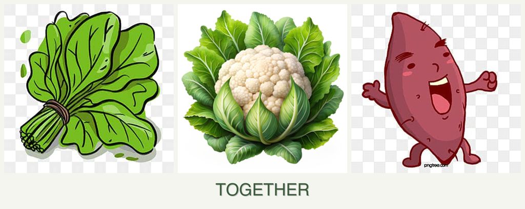 Can you plant spinach, cauliflower and sweet potatoes together?