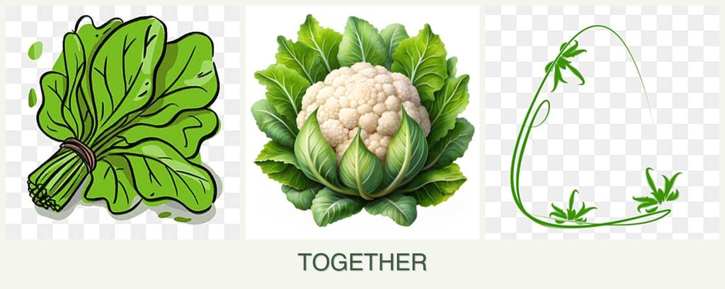 Can you plant spinach, cauliflower and tarragon together?