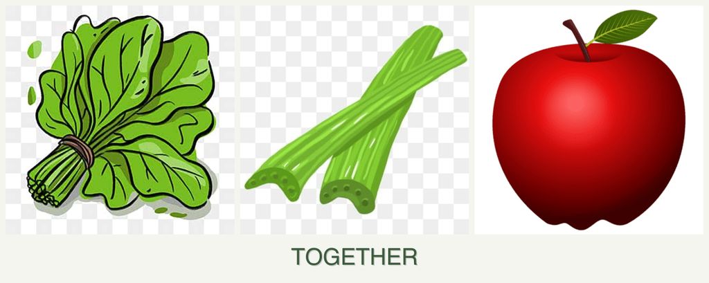 Can you plant spinach, celery and apples together?