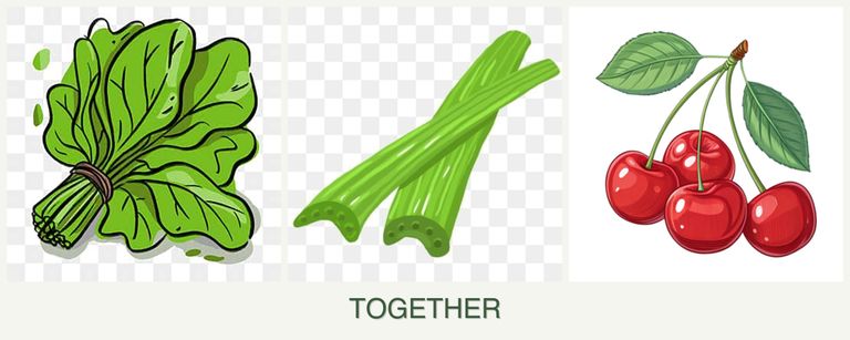Can you plant spinach, celery and cherries together?