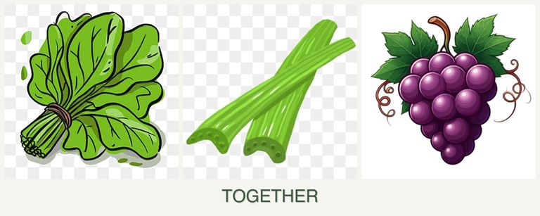 Can you plant spinach, celery and grapes together?