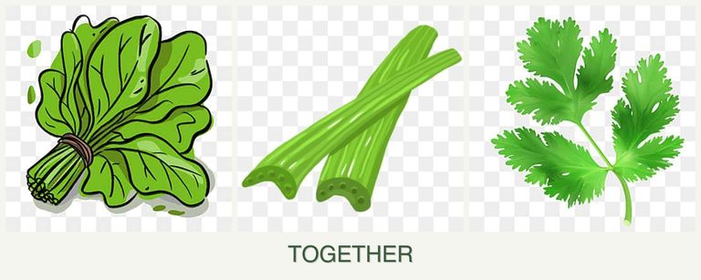 Can you plant spinach, celery and parsley together?