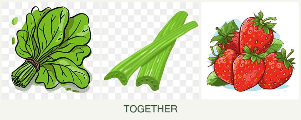 Can you plant spinach, celery and strawberries together?