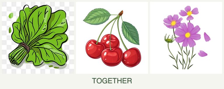 Can you plant spinach, cherries and cosmos together?