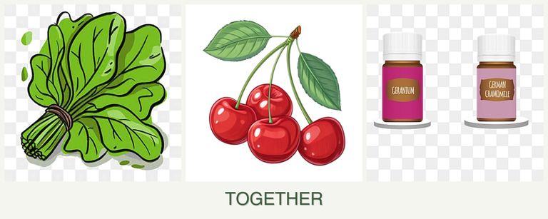 Can you plant spinach, cherries and geraniums together?