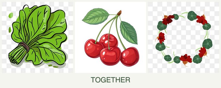 Can you plant spinach, cherries and nasturtiums together?