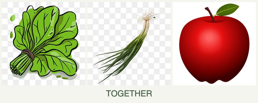 Can you plant spinach, chives and apples together?