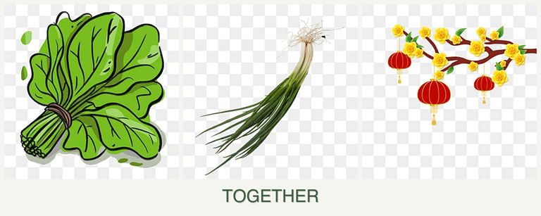 Can you plant spinach, chives and apricots together?