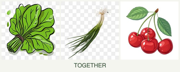 Can you plant spinach, chives and cherries together?