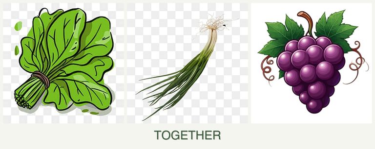 Can you plant spinach, chives and grapes together?
