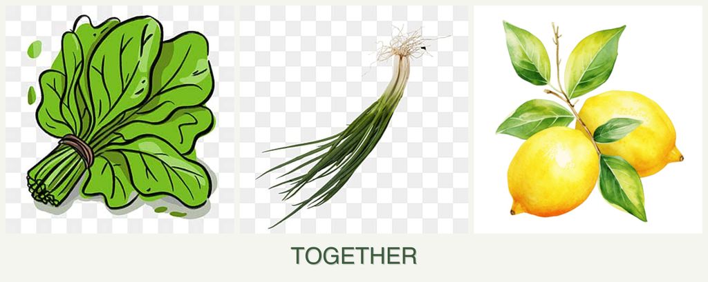 Can you plant spinach, chives and lemons together?