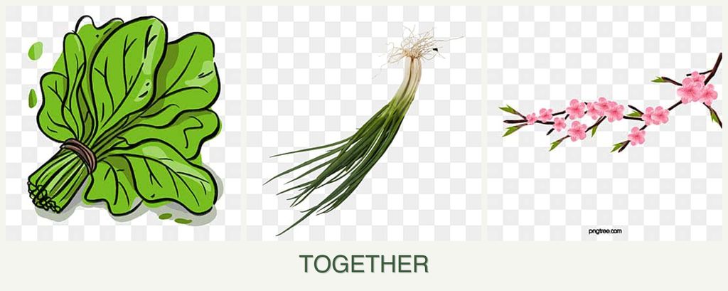 Can you plant spinach, chives and peaches together?