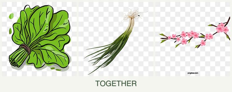 Can you plant spinach, chives and peaches together?