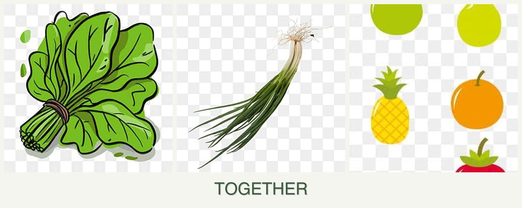 Can you plant spinach, chives and pears together?