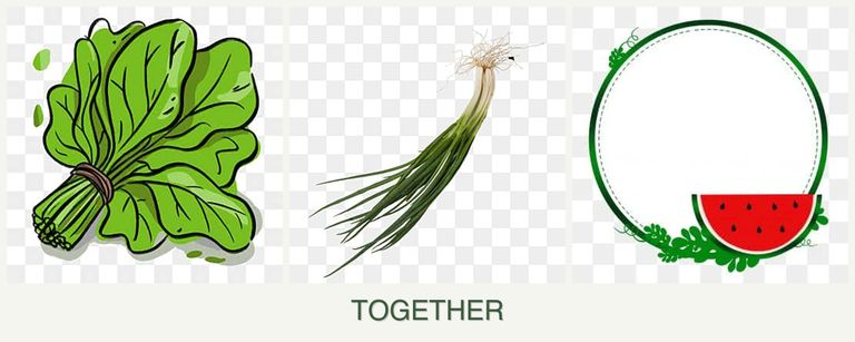 Can you plant spinach, chives and watermelons together?