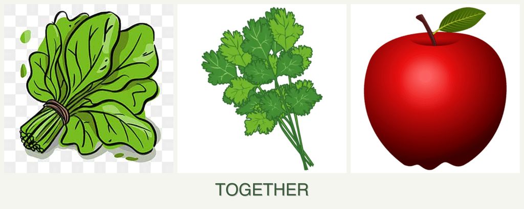 Can you plant spinach, cilantro and apples together?