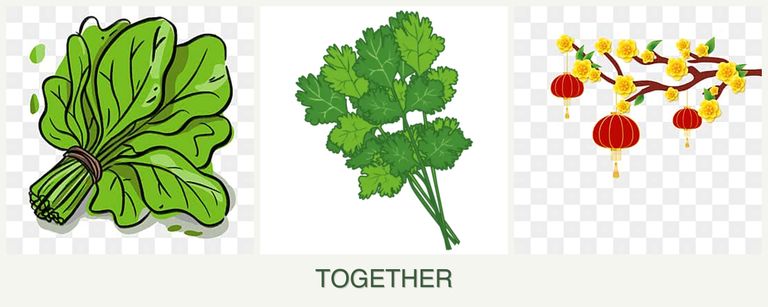 Can you plant spinach, cilantro and apricots together?
