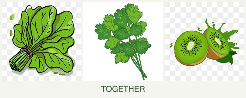 Can you plant spinach, cilantro and kiwi together?
