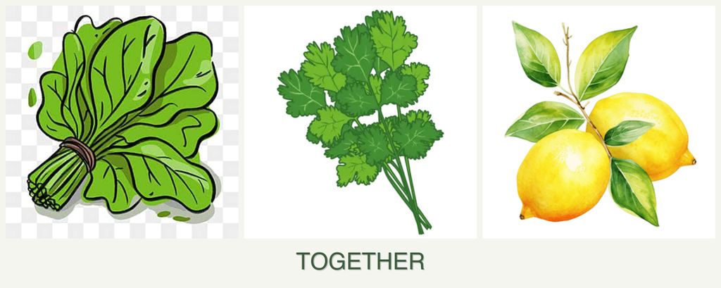 Can you plant spinach, cilantro and lemons together?