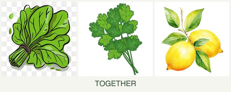 Can you plant spinach, cilantro and lemons together?