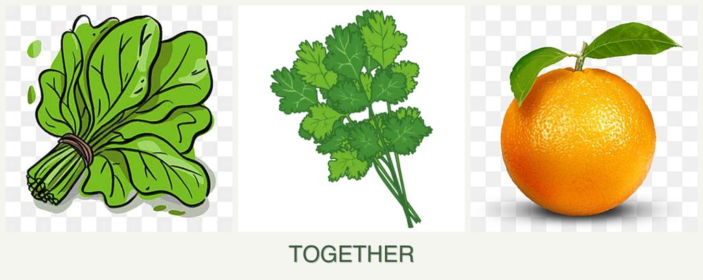 Can you plant spinach, cilantro and oranges together?