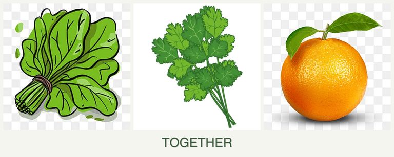 Can you plant spinach, cilantro and oranges together?