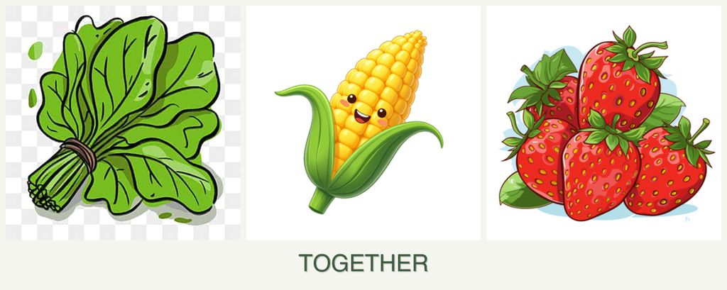 Can you plant spinach, corn and strawberries together?