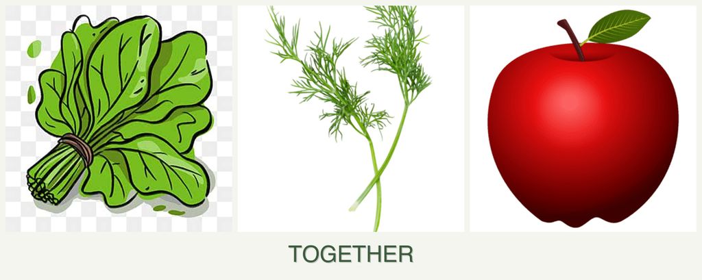 Can you plant spinach, dill and apples together?