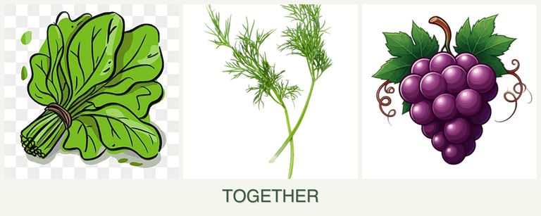 Can you plant spinach, dill and grapes together?
