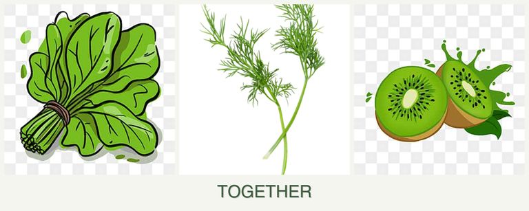 Can you plant spinach, dill and kiwi together?