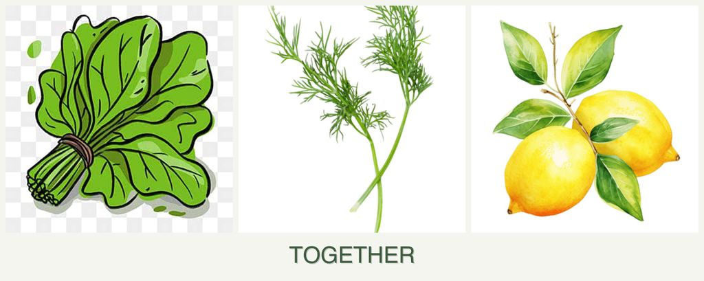 Can you plant spinach, dill and lemons together?