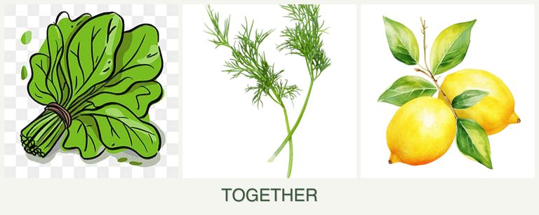 Can you plant spinach, dill and lemons together?