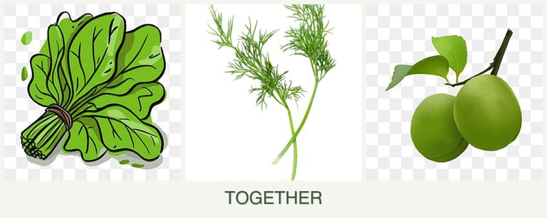 Can you plant spinach, dill and plums together?