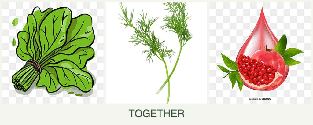 Can you plant spinach, dill and pomegranates together?
