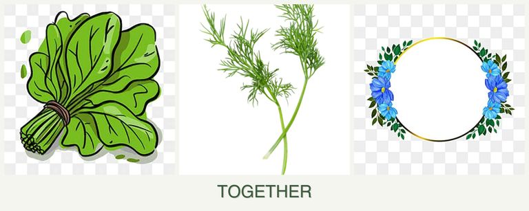 Can you plant spinach, dill and zinnias together?