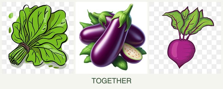 Can you plant spinach, eggplant and beets together?