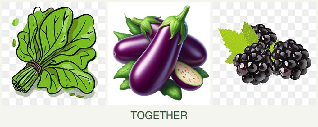 Can you plant spinach, eggplant and blackberries together?