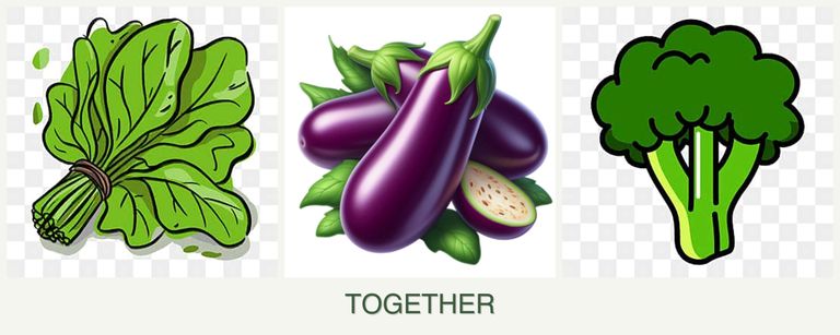 Can you plant spinach, eggplant and broccoli together?