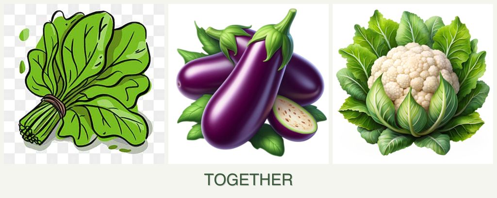 Can you plant spinach, eggplant and cauliflower together?