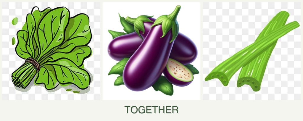 Can you plant spinach, eggplant and celery together?